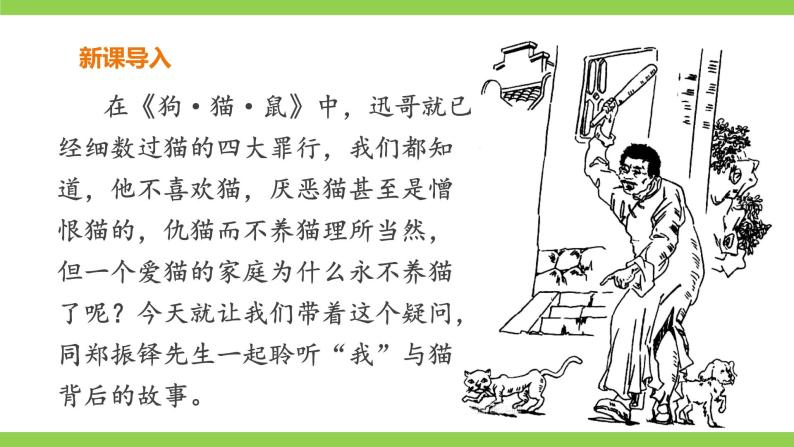 【核心素养】部编版初中语文七年级上册16《猫》 课件+教案+导学案（师生版）+同步测试（含答案）01