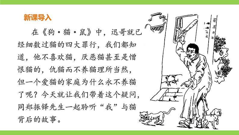 【核心素养】部编版初中语文七年级上册16《猫》 课件+教案+导学案（师生版）+同步测试（含答案）01