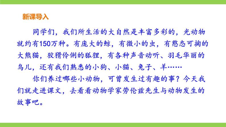【核心素养】部编版初中语文七年级上册17《动物笑谈》 课件+教案+导学案（师生版）+同步测试（含答案）02