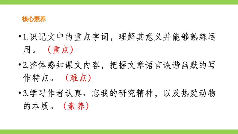 【核心素养】部编版初中语文七年级上册17《动物笑谈》 课件+教案+导学案（师生版）+同步测试（含答案）04