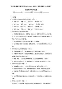 山东省淄博市桓台县2022-2023学年（五四学制）六年级下学期期末语文试题（含答案）