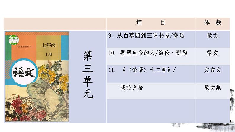 第三单元知识梳理 部编版七年级语文上册知识梳理与能力训练课件PPT02