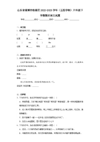 山东省淄博市临淄区2022-2023学年（五四学制）六年级下学期期末语文试题（含答案）