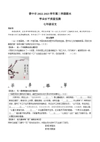 山西省晋中市2022-2023学年七年级下学期期末语文试题（含答案）