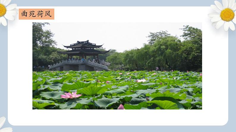 【核心素养目标】人教部编版初中语文八年级上册 《唐诗五首—钱塘湖春行》第五课时课件+教案+同步分层练习（含答案）04