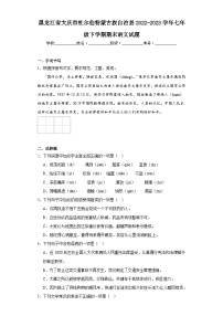 黑龙江省大庆市杜尔伯特蒙古族自治县2022-2023学年七年级下学期期末语文试题（含答案）