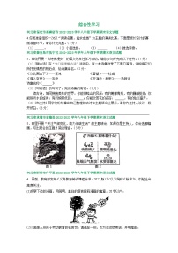 河北省部分地区2022-2023学年下学期八年级语文期末试卷汇编：综合性学习