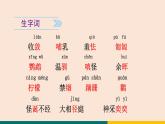 17  动物笑谈 课件-统编版初中语文七年级上册