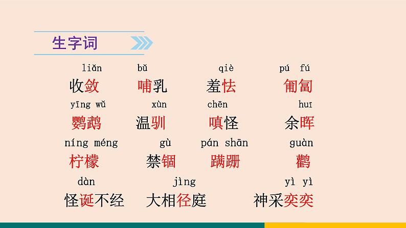 17  动物笑谈 课件-统编版初中语文七年级上册第5页