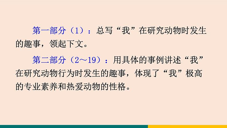 17  动物笑谈 课件-统编版初中语文七年级上册第8页