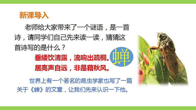 【核心素养】部编版初中语文八年级上册21《蝉》 课件+教案+导学案（师生版）+同步测试（含答案）01