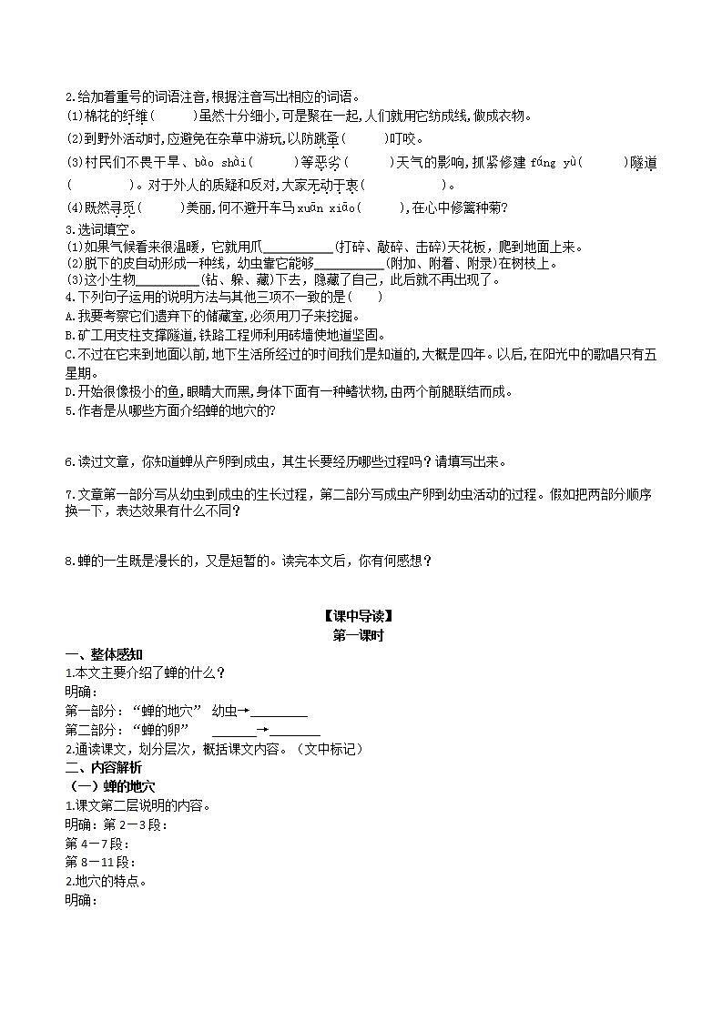 【核心素养】部编版初中语文八年级上册21《蝉》 课件+教案+导学案（师生版）+同步测试（含答案）02
