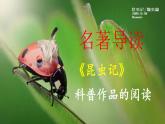【核心素养】部编版初中语文八年级上册八上第五单元名著导读《昆虫记》（课件+教案+测试）