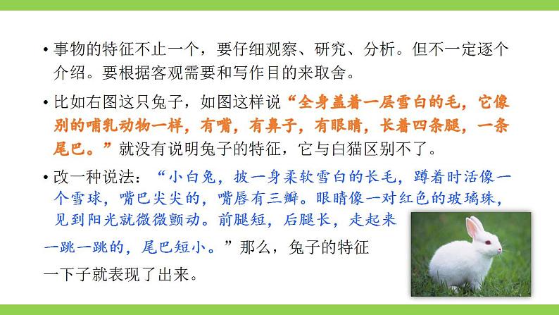 【核心素养】部编版初中语文八年级上册八上第五单元写作《说明事物要抓住特征》（课件+教案）07