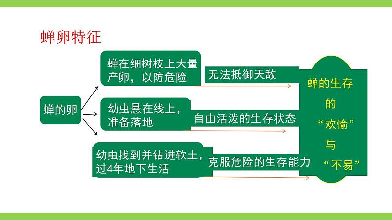 【核心素养】部编版初中语文八年级上册八上第五单元写作《说明事物要抓住特征》（课件+教案）08