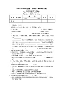 广东省湛江市麻章区2022-2023学年七年级下学期期末考试语文试题（含答案）