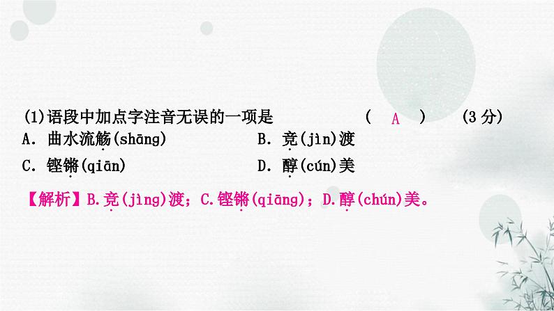 中考语文复习专题一字音、字形作业课件第3页