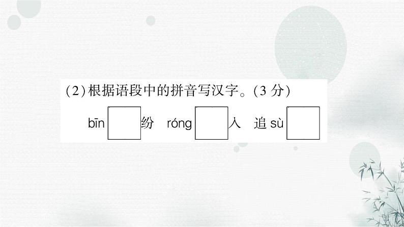 中考语文复习专题一字音、字形作业课件第4页