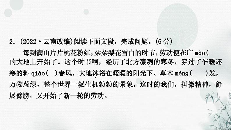 中考语文复习专题一字音、字形作业课件第5页