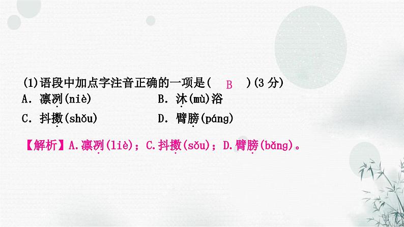 中考语文复习专题一字音、字形作业课件第6页