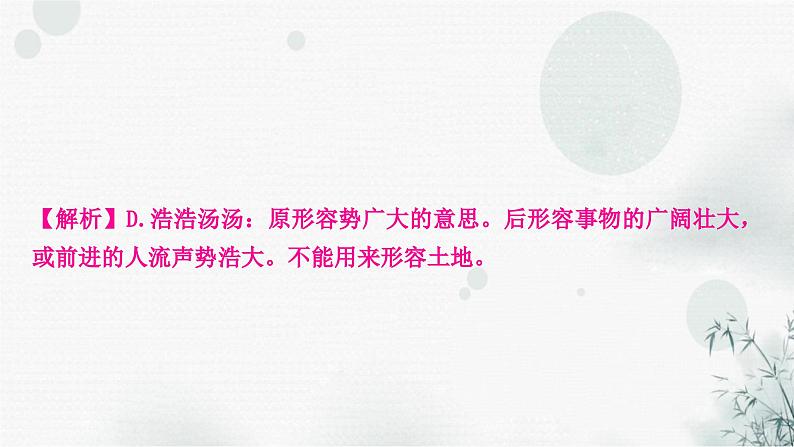 中考语文复习专题二词语的理解与运用作业课件第5页