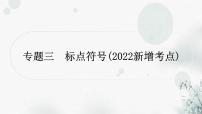 中考语文复习专题三标点符号作业课件