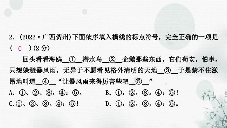 中考语文复习专题三标点符号作业课件04