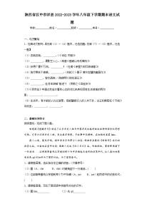 陕西省汉中市洋县2022-2023学年八年级下学期期末语文试题（含答案）