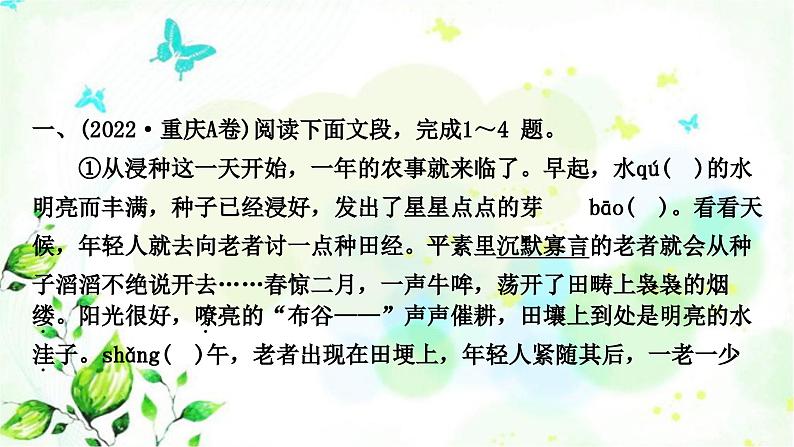 中考语文复习知识及运用专题一字音在、字形教学课件第3页