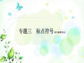 中考语文复习知识及运用专题三标点符号教学课件