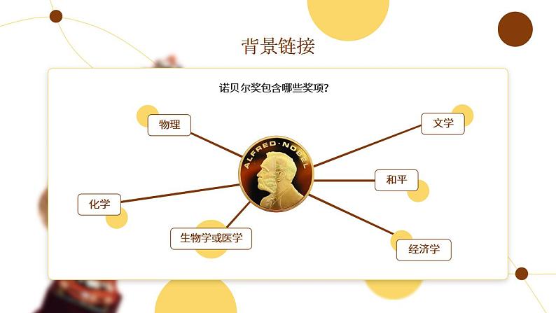 人教部编版语文八年级上册 2 首届诺贝尔奖颁发 课件04