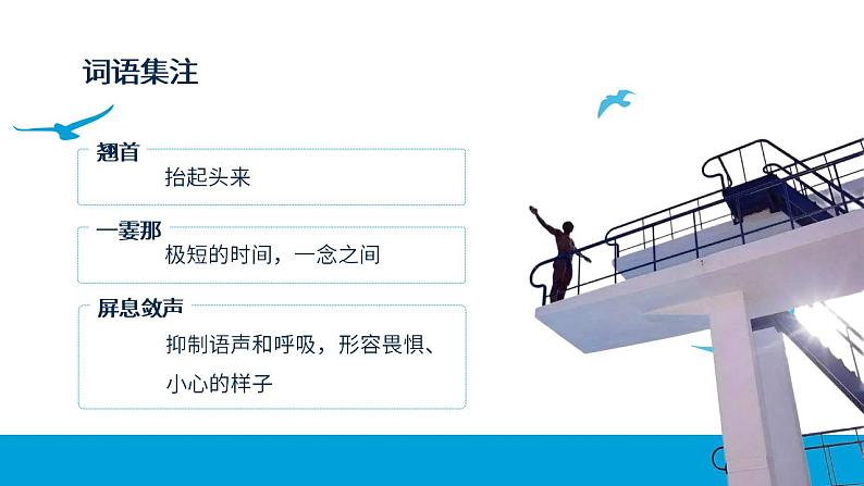 人教部编版语文八年级上册 3 飞天凌空-跳水姑娘吕伟夺魁记 课件08