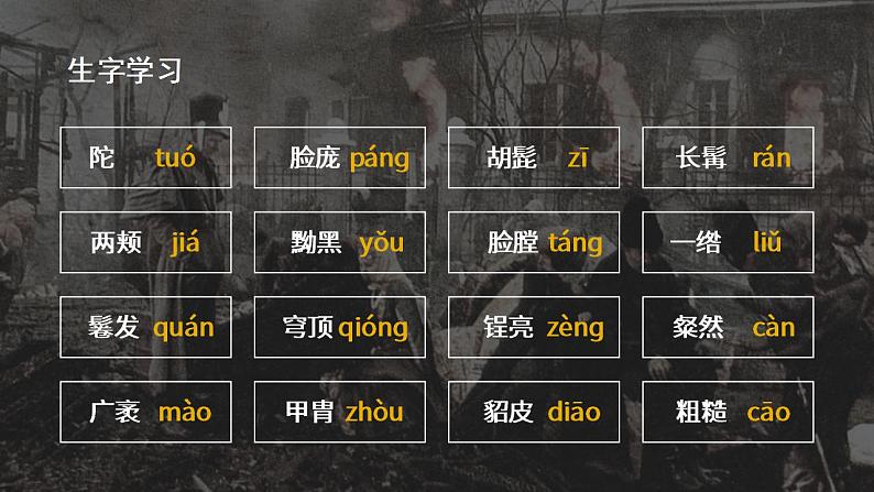 人教部编版语文八年级上册 8 列夫·托尔斯泰 课件08