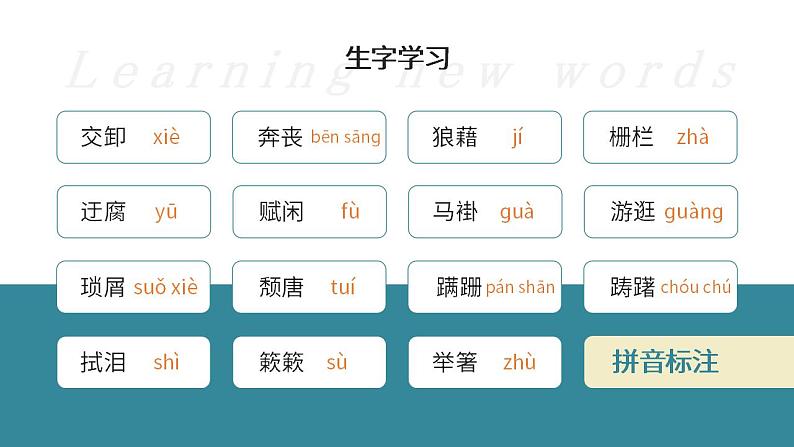 人教部编版语文八年级上册 14 背影 课件06