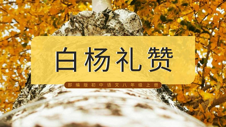 人教部编版语文八年级上册 15 白杨礼赞 课件01