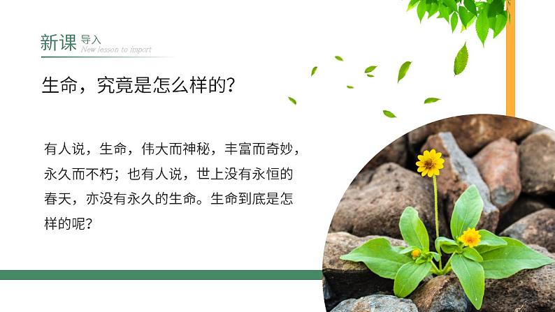 初中语文部编版八年级上册-散文两篇第2页