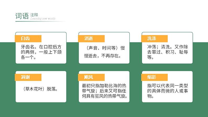初中语文部编版八年级上册-散文两篇第5页