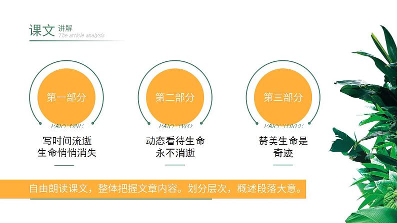 初中语文部编版八年级上册-散文两篇第8页