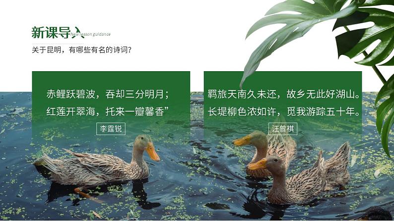 人教部编版语文八年级上册 17 昆明的雨 课件02