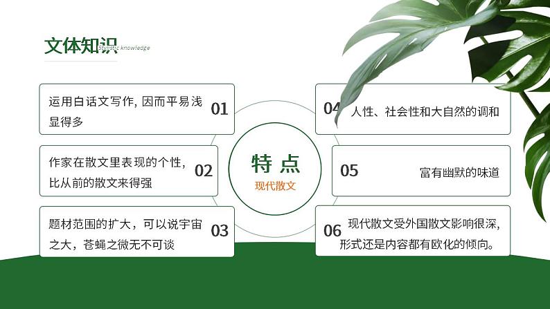 人教部编版语文八年级上册 17 昆明的雨 课件05