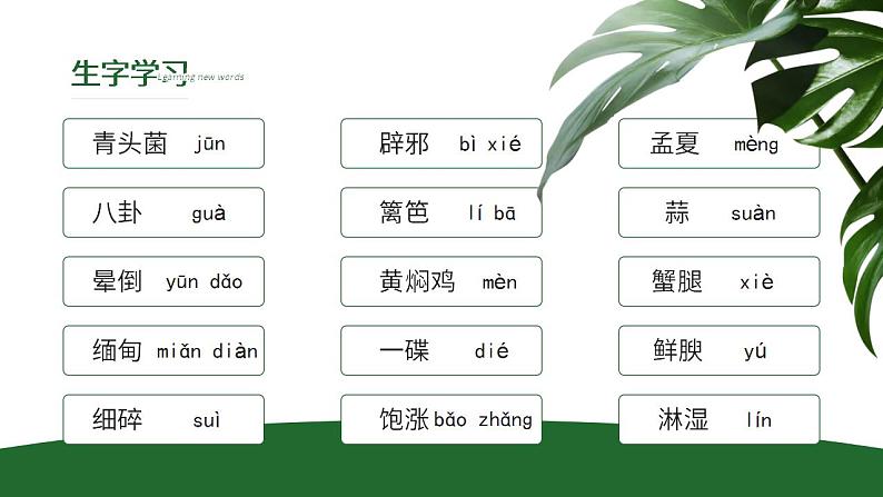 人教部编版语文八年级上册 17 昆明的雨 课件06