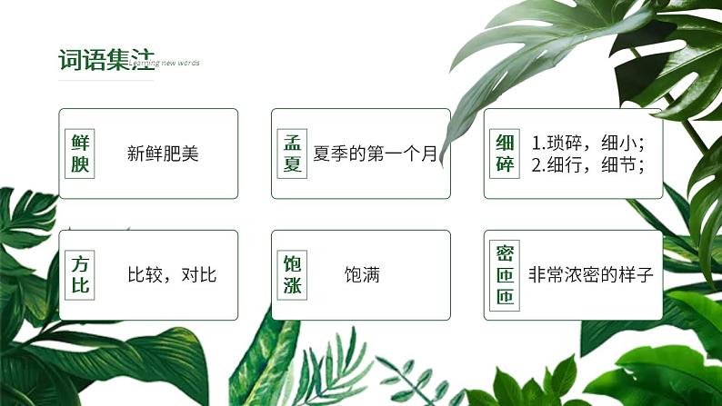 人教部编版语文八年级上册 17 昆明的雨 课件07