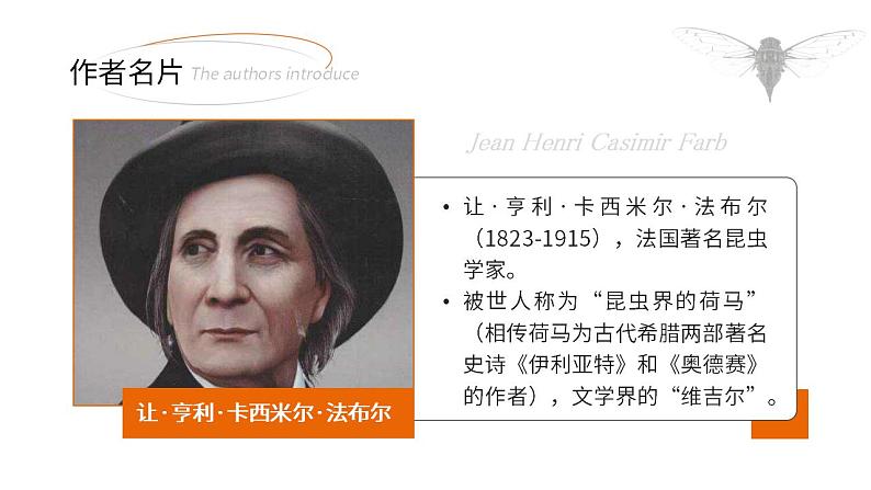 人教部编版语文八年级上册 21 蝉 课件03