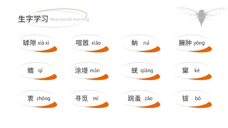 人教部编版语文八年级上册 21 蝉 课件06