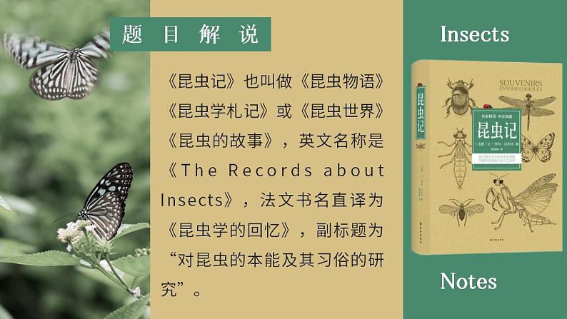 人教部编版语文八年级上册 名著导读-《昆虫记》 课件02