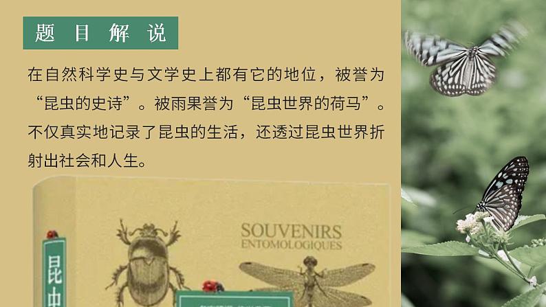 人教部编版语文八年级上册 名著导读-《昆虫记》 课件03