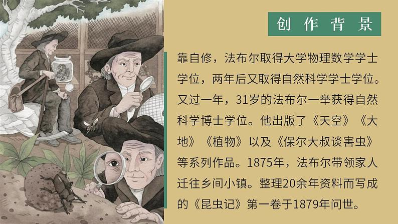 人教部编版语文八年级上册 名著导读-《昆虫记》 课件05