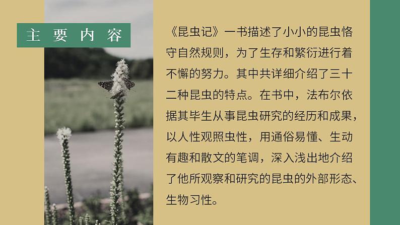 人教部编版语文八年级上册 名著导读-《昆虫记》 课件08