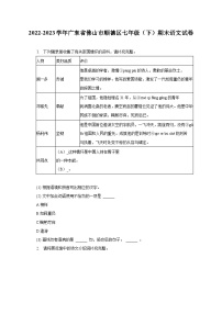 2022-2023学年广东省佛山市顺德区七年级（下）期末语文试卷