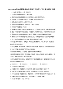 2022-2023学年新疆塔城地区沙湾市七年级（下）期末语文试卷（含解析）